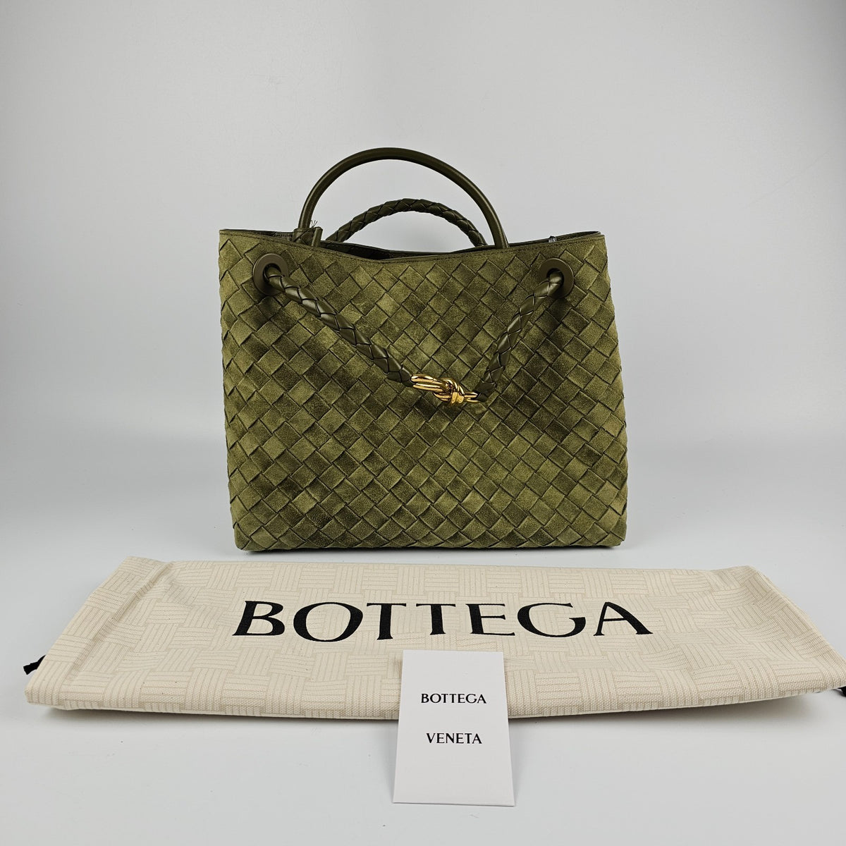 BOTTEGA VENETA Andiamo Medium $5700 Mud Suede Top Handle Bag New